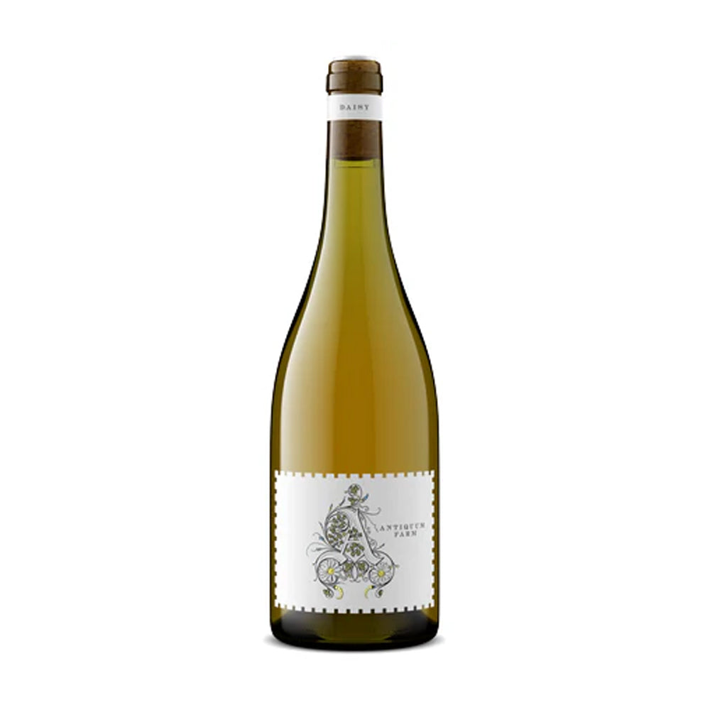 Antiquum Farm "Daisy" Pinot Gris 2023