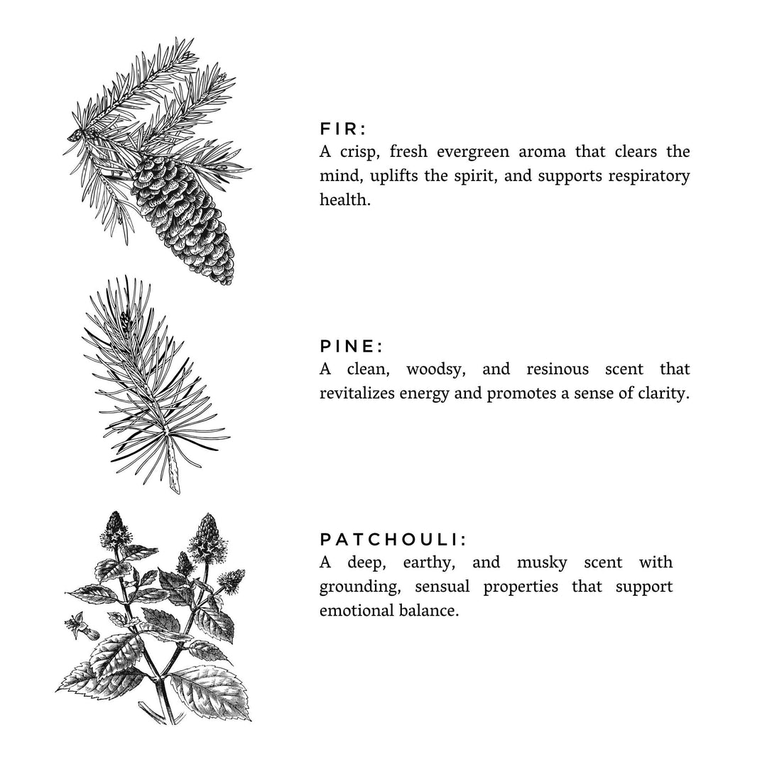 Slow North "Forest Bathing" Limited Edition Fall 2025 Candle