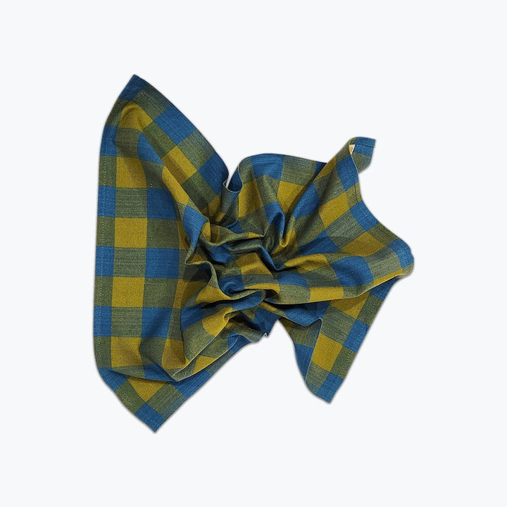 All Roads Big Gingham Napkin Pair - Lake