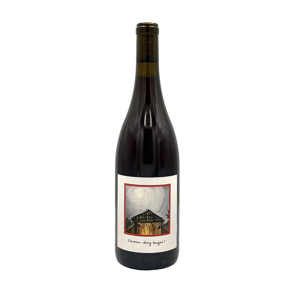 Little Trouble "Tiny Horse" Pinot Noir 2022