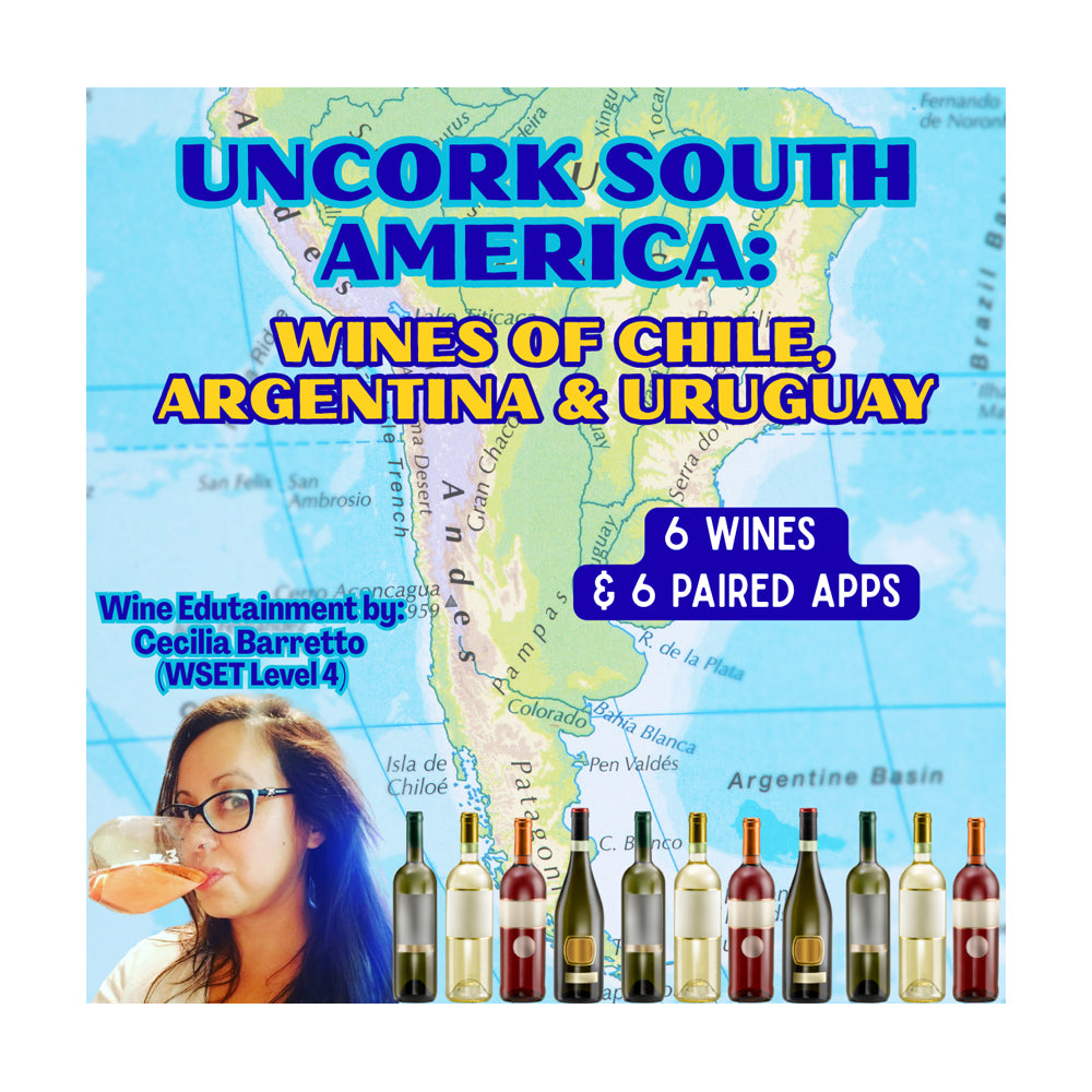 Wine 101: Uncork South America