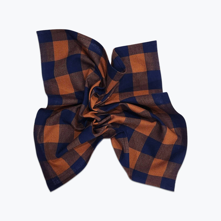 All Roads Big Gingham Napkin Pair - Ridge