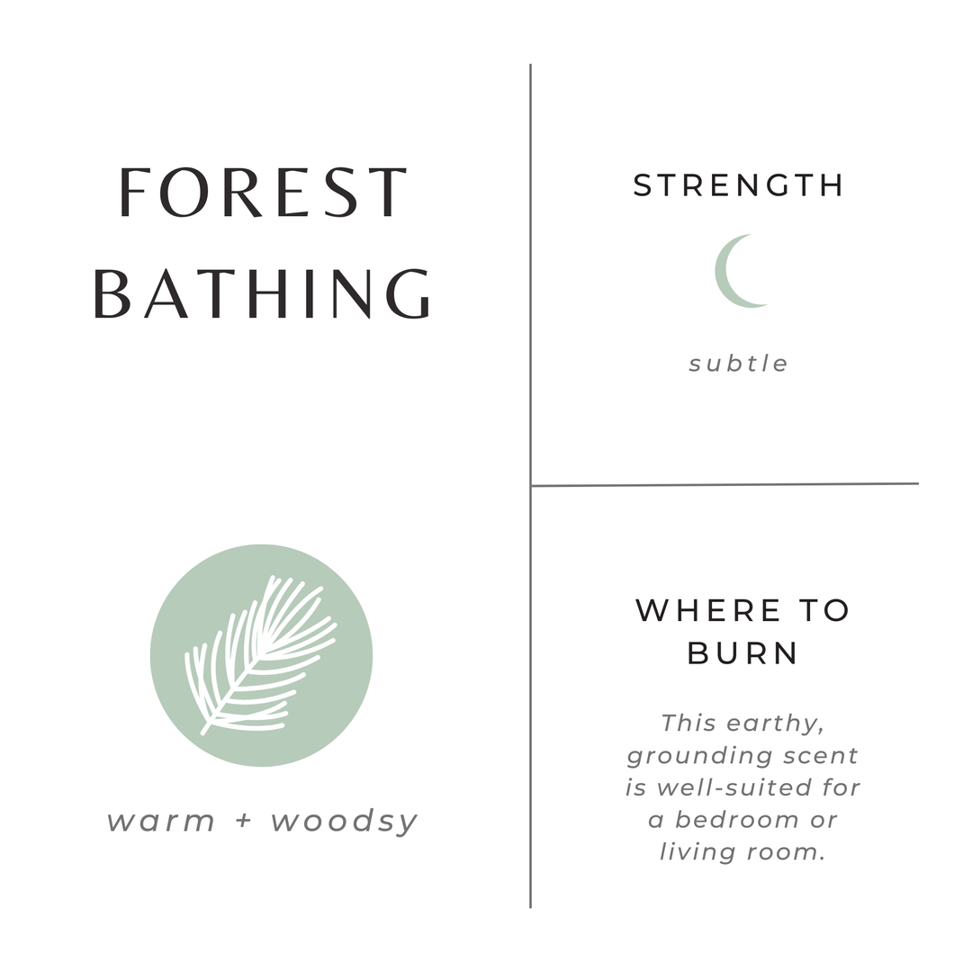 Slow North "Forest Bathing" Limited Edition Fall 2025 Candle