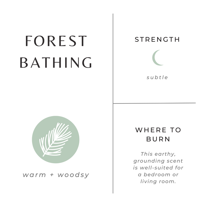 Slow North "Forest Bathing" Limited Edition Fall 2025 Candle