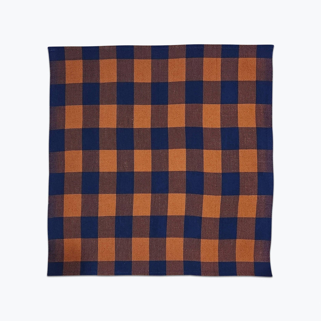 All Roads Big Gingham Napkin Pair - Ridge