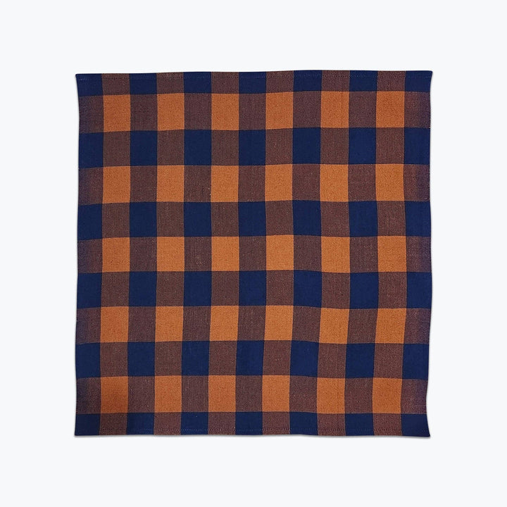 All Roads Big Gingham Napkin Pair - Ridge